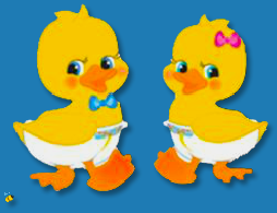 IF CLICK IT GOES TO DUCKIES WEB SITE.
